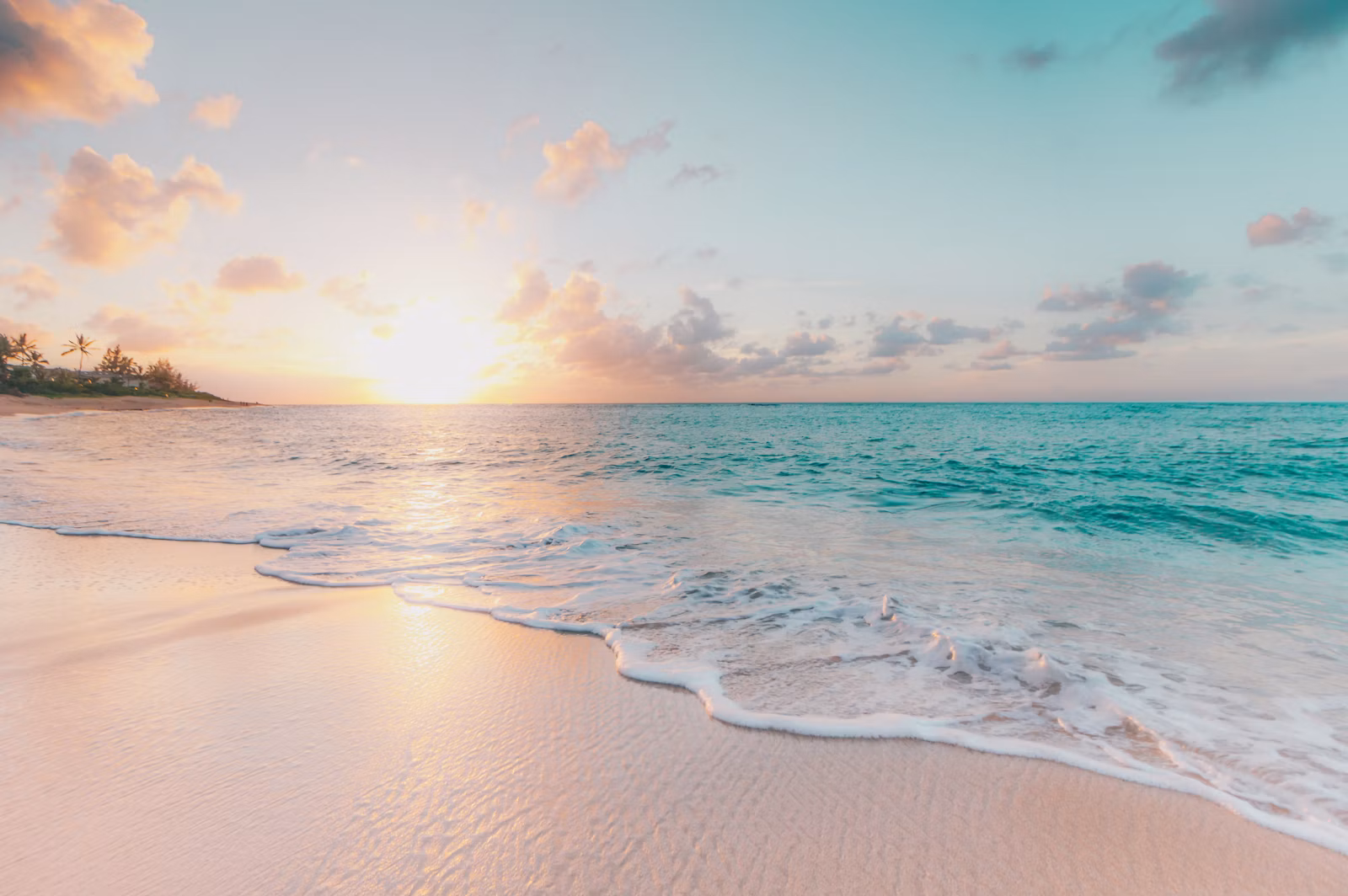 Snorkeling In the Caribbean: